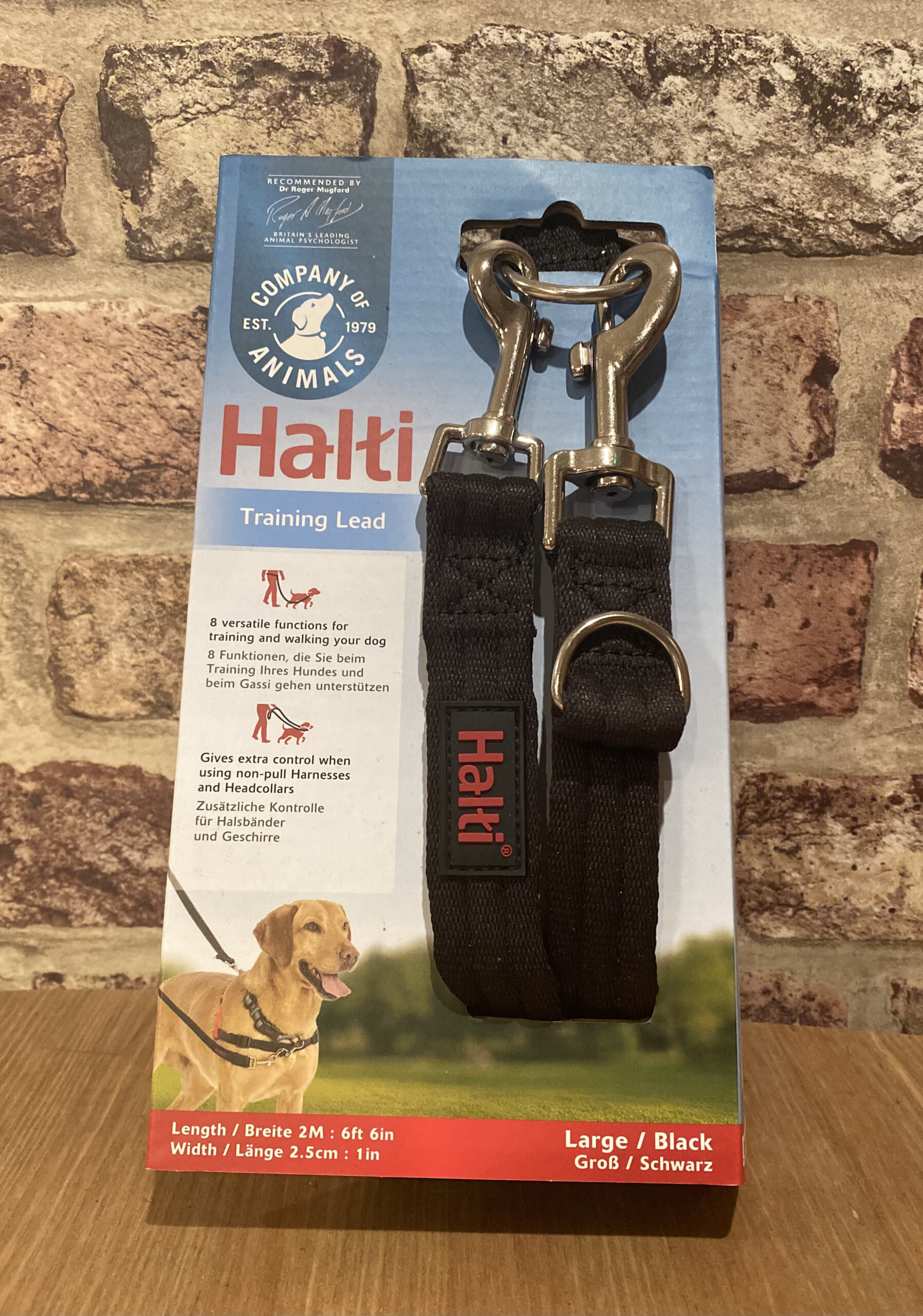 Training Lead Rachel's Dog Club